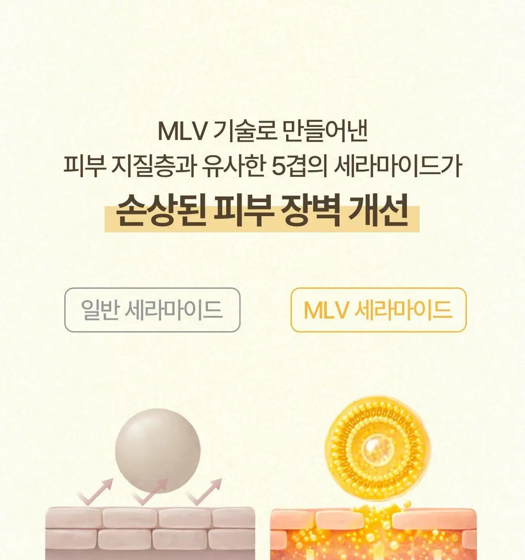 [리아킴 공동개발/단독선런칭] NDP 엔디피 모링가 세라마이드 멜팅 클렌징밤 90ml 기획 (+3ml*6입 ) 상세페이지 38